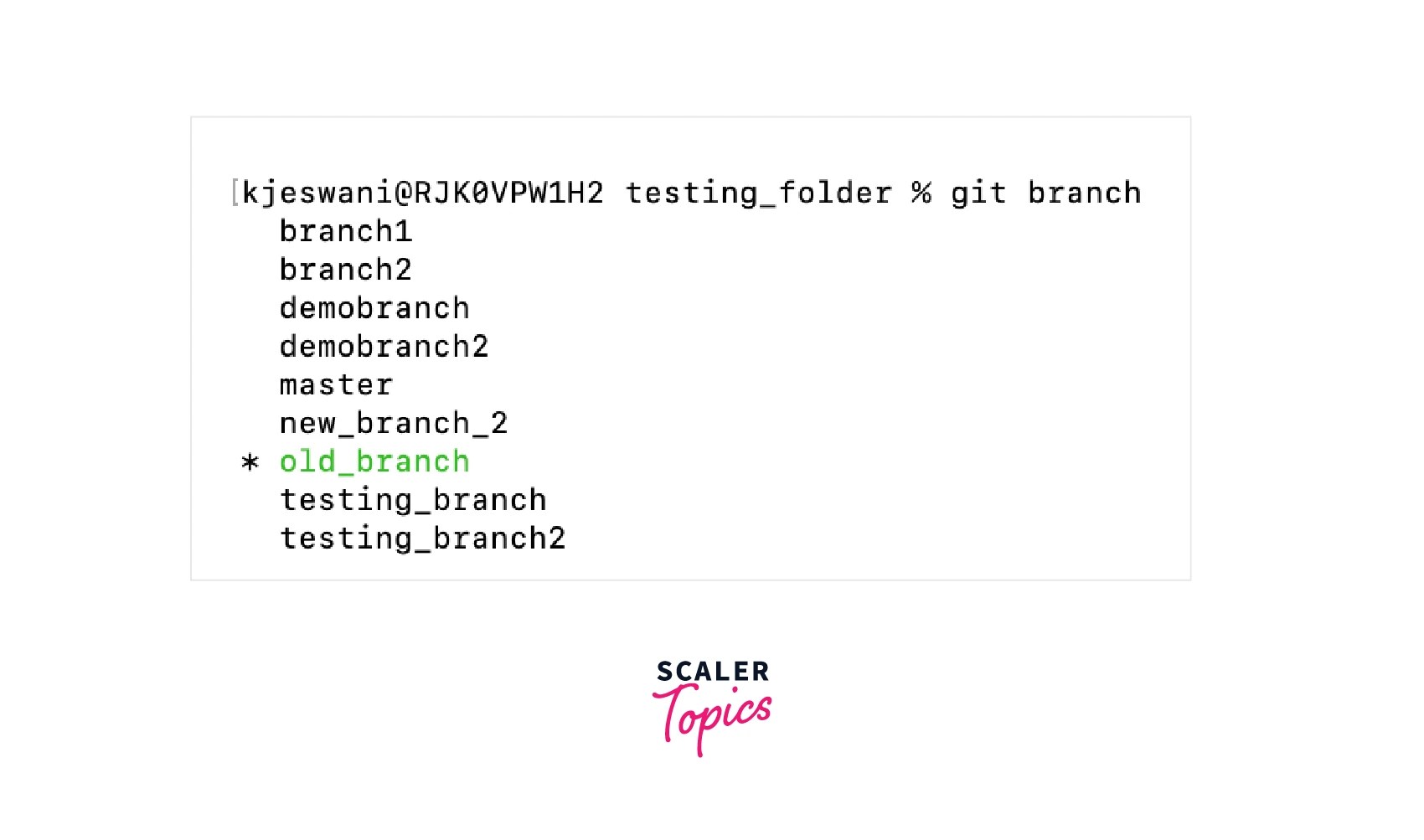 Git Rename Branch Scaler Topics
